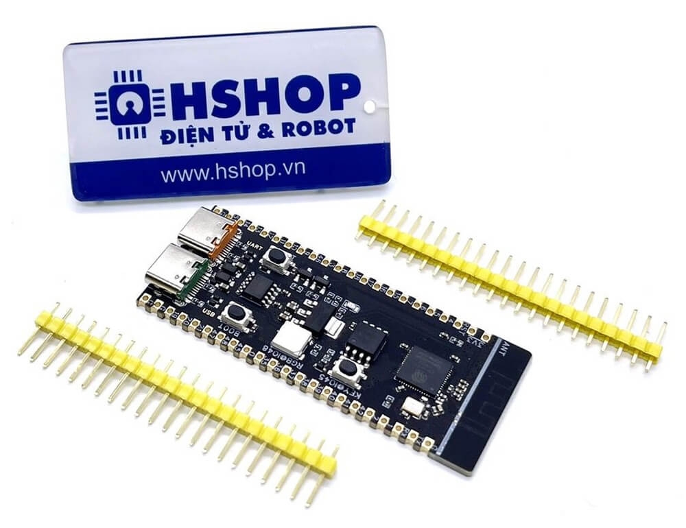 ESP32-S3
